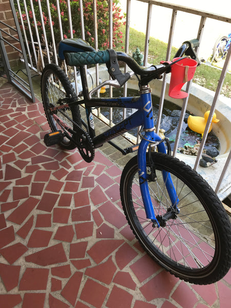 Concept Viper 20" Youth Bike Blue