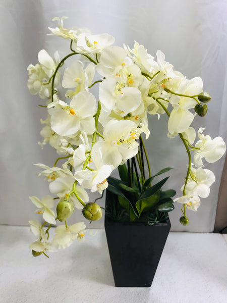 Potted Artificial White Orchid 24"