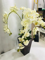 Potted Artificial White Orchid 24"