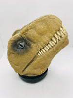 Dinosaur Play Set 9 Mini Dinos with Large Dino Strorage Head 9"
